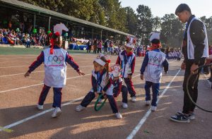 Annual sports participation